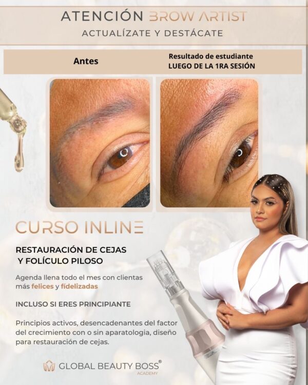 Workshop Brows Restored 2025