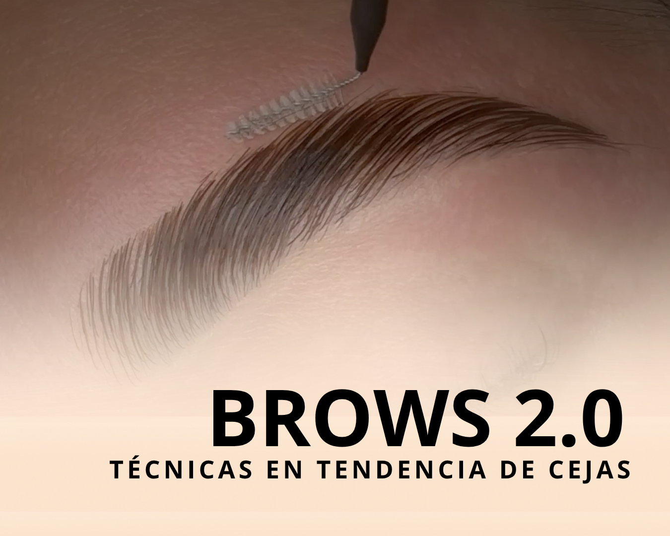 BROWS 2.0